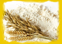 We are Flour Manufacturer, Soya Flour Exporter, Flours Supplier and Wholesaler of Wheat Flour in Ahmedabad, India.